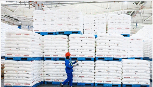 CNPC5502XA HDPE Granules | High Density Polyethylene Resin for Small Hollow Containers
